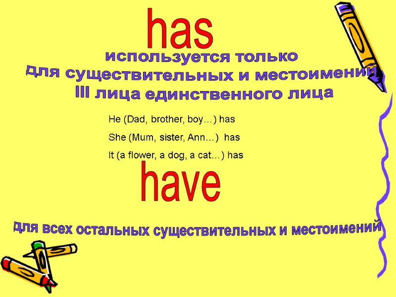 has  используется только  для существительных и местоимений  III лица единственного лица